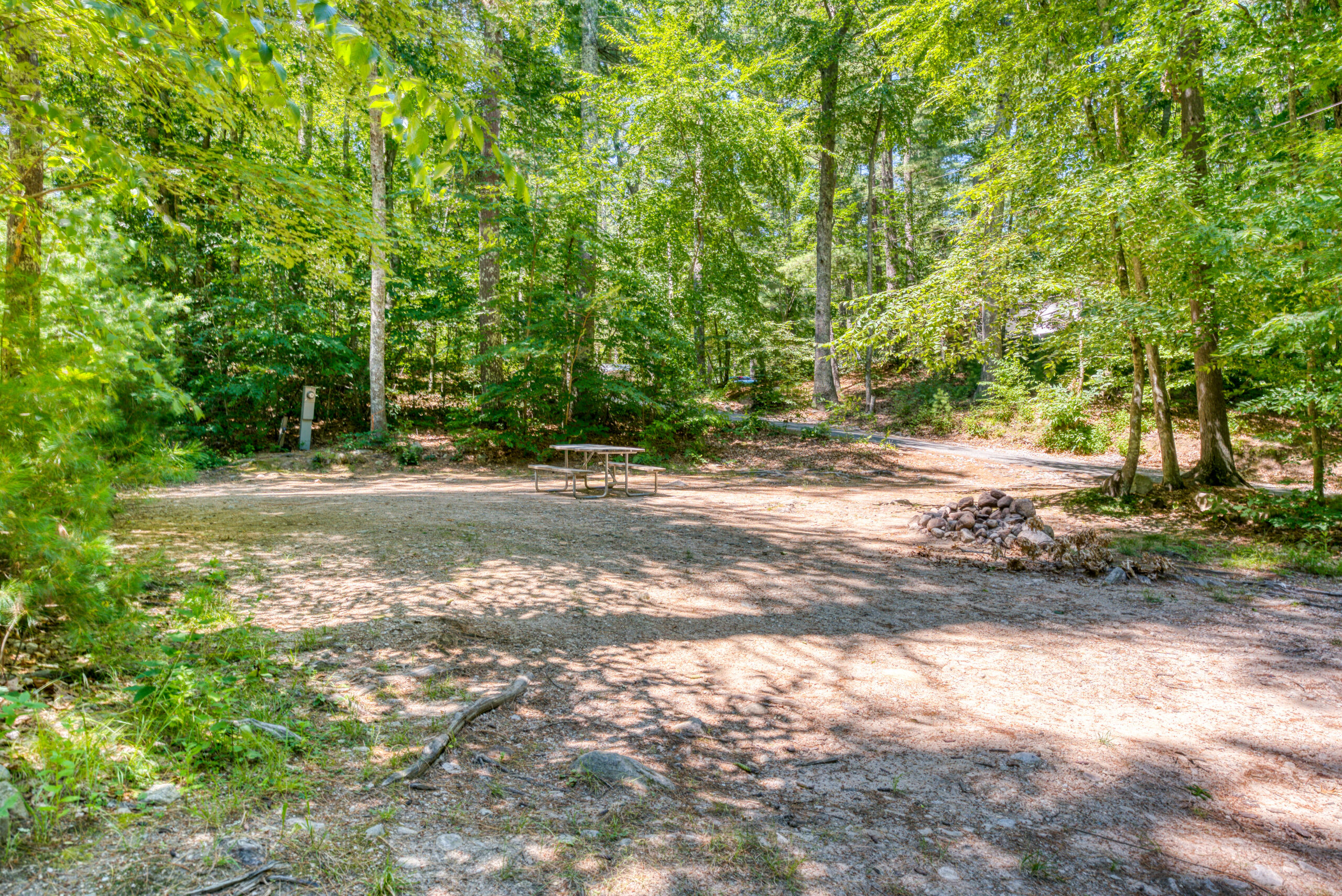 Wooded Camping at Whispering Pines Campground Wooded campsite at Whispering Pines Campground in Hope Valley Rhode Island